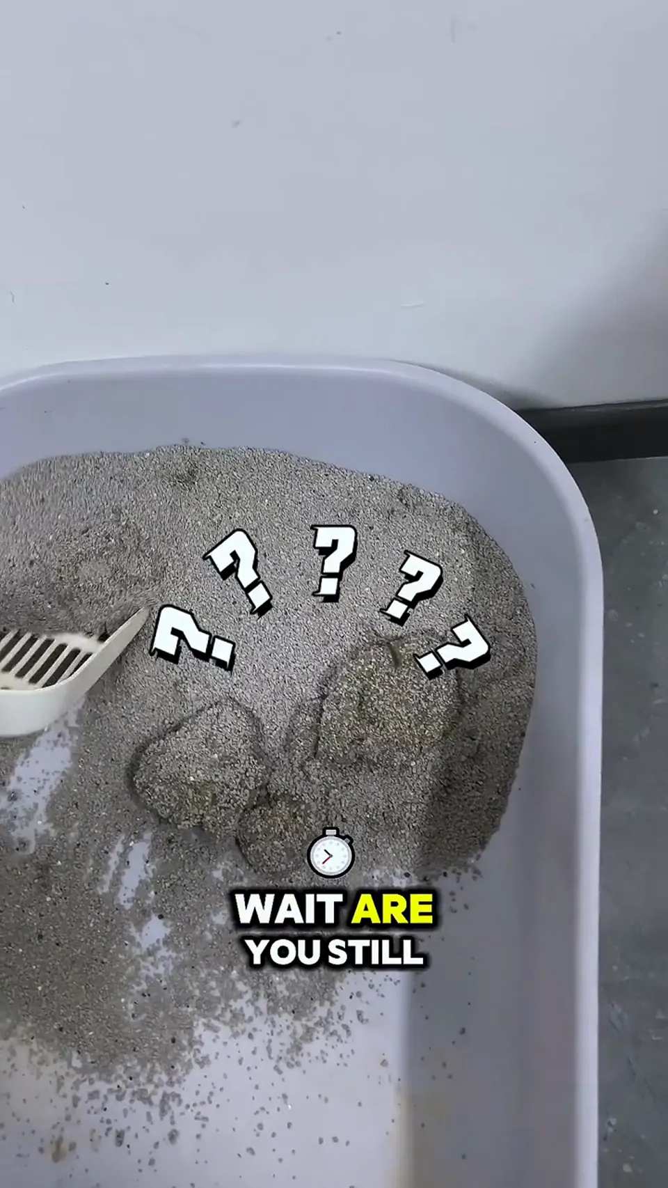 furoomate shorts 视频封面