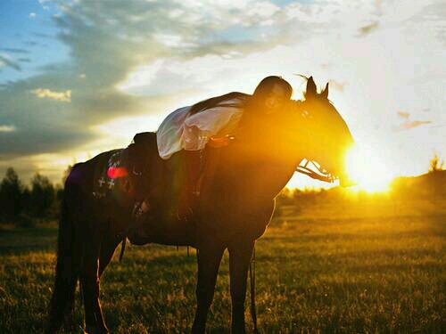 Photography 6